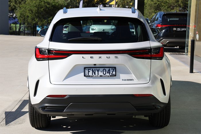 2024 Lexus NX250 NX250 Base 2.5L Petrol Automatic Wagon 2M00110 001