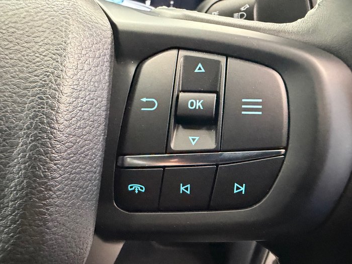 2026 Ford Everest Platinum