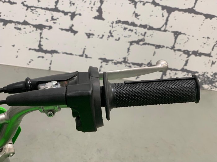 2024 Kawasaki KLX110RL KLX Green