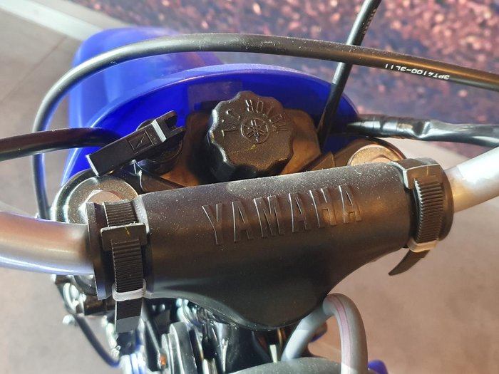 2024 Yamaha PeeWee 50 (PW50) PeeWee Blue