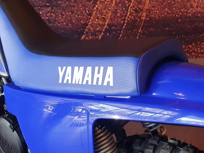 2024 Yamaha PeeWee 50 (PW50) PeeWee Blue