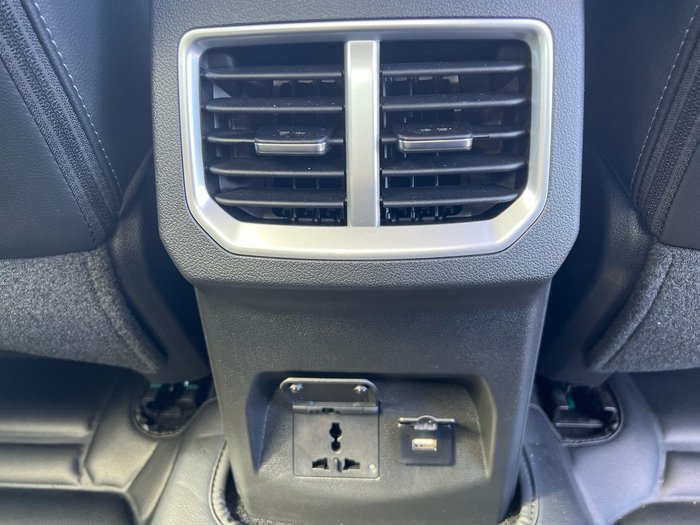 2024 GWM Ute Cannon-L