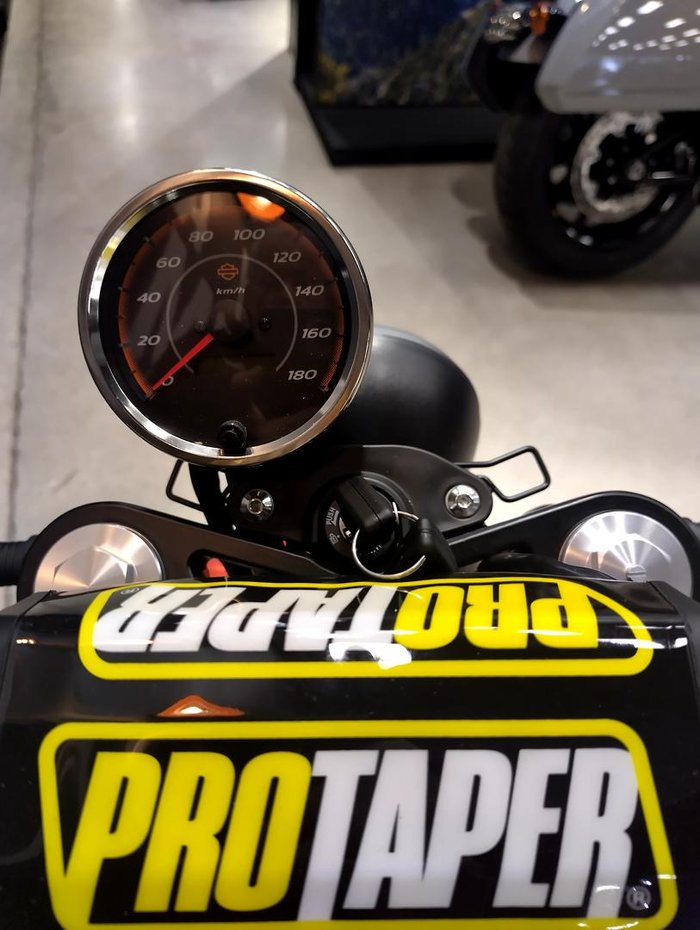 2024 Harley-Davidson X 350 X Orange
