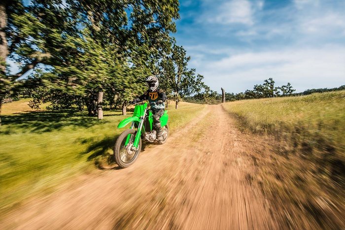 2024 Kawasaki KLX300R KLX Grey
