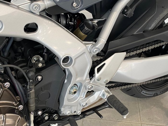 2024 Yamaha XSR900 GP XSR Grey