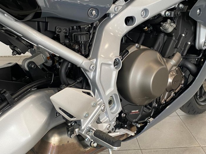 2024 Yamaha XSR900 GP XSR Grey