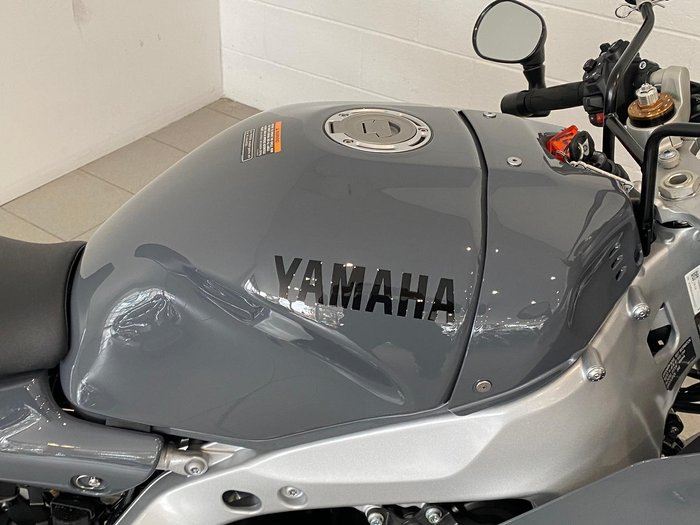 2024 Yamaha XSR900 GP XSR Grey