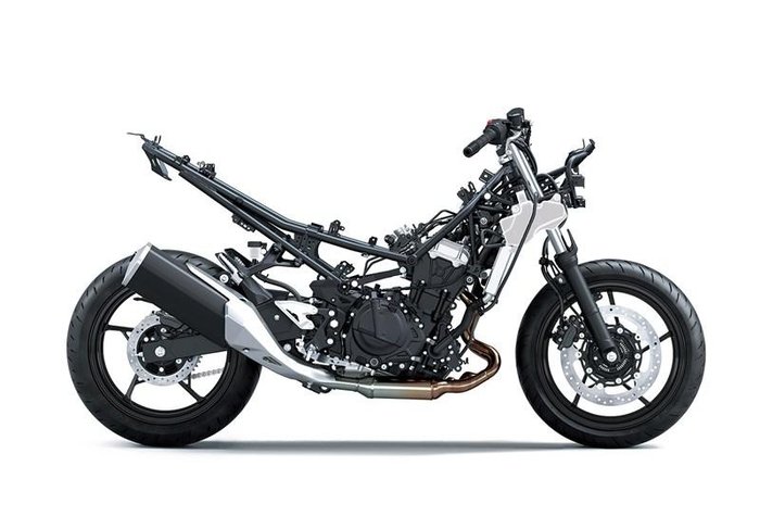 2025 Kawasaki Ninja 500 (EX500G) Ninja Silver