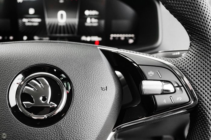 2024 SKODA Karoq 110TSI Select