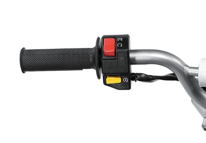 2025 Kawasaki KLX110RL KLX Green