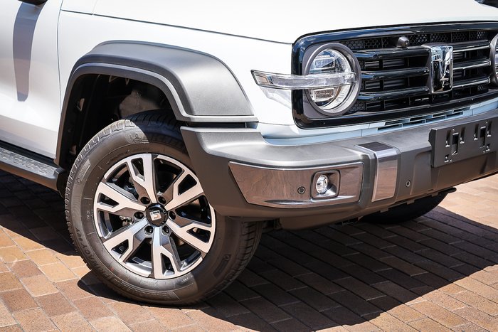 2025 GWM GWM TANK 300