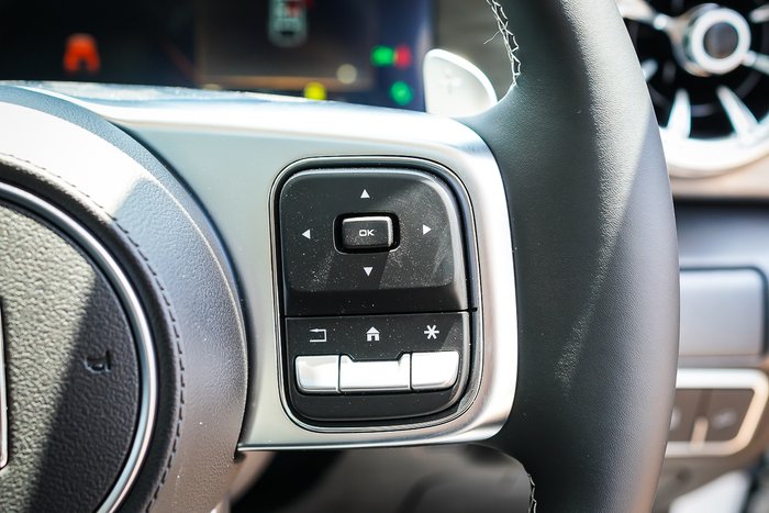 2025 GWM GWM TANK 300