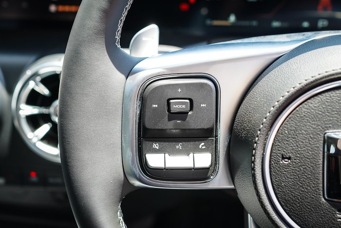 2025 GWM GWM TANK 300