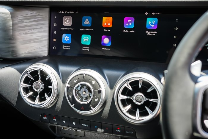 2025 GWM GWM TANK 300