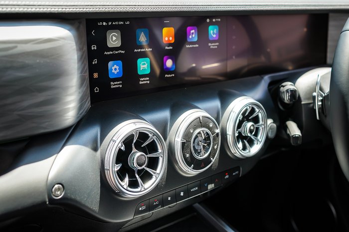 2025 GWM GWM TANK 300