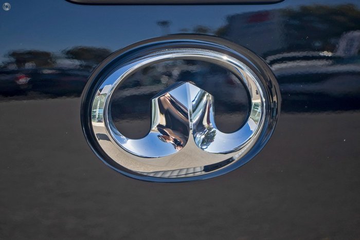 2024 GWM Ute Cannon