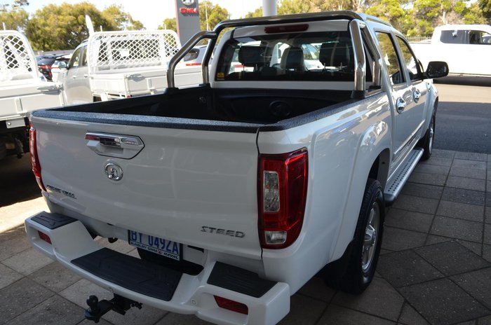 2020 Great Wall Steed