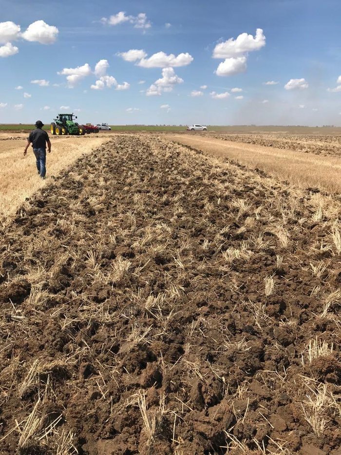 0 Tatu Gcro 7010 56 Plate Offset Disc New RED