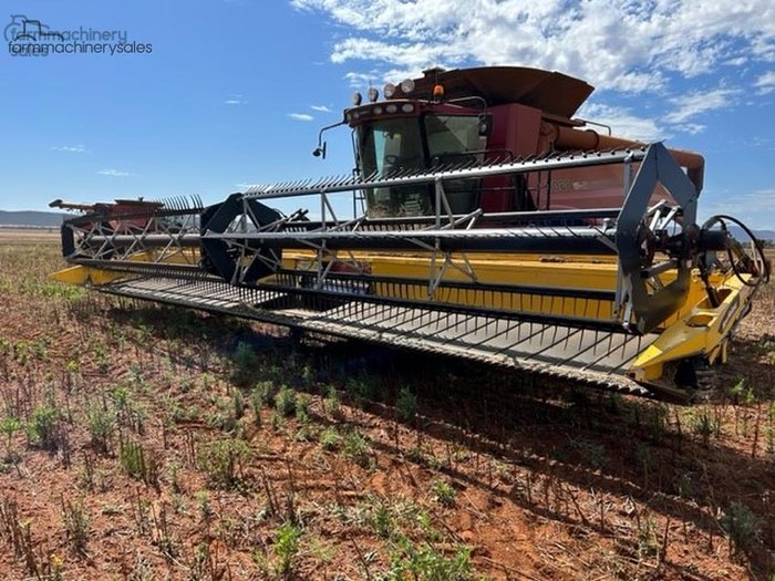 0 Honey Bee 94C Yellow