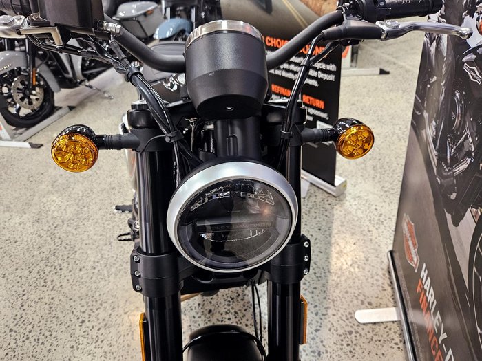 2024 Harley-Davidson X 500 X Black