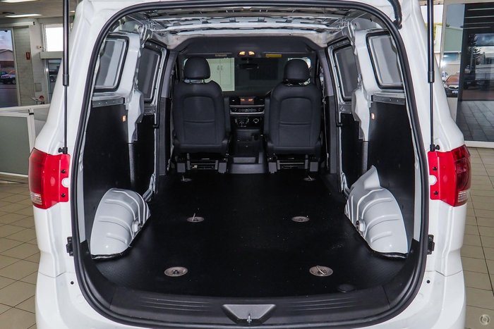 2023 LDV G10 +