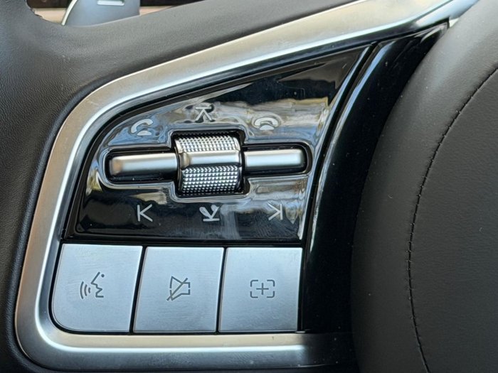 2024 GWM Cannon Alpha Lux