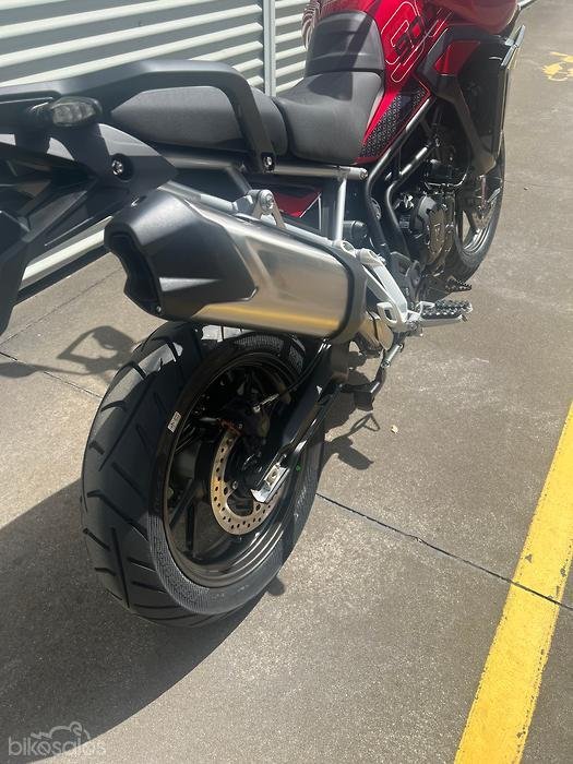 2025 Triumph Tiger 900 GT Pro Tiger Black