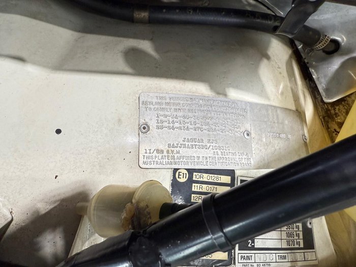 1982 Jaguar XJS HE (No Series) White