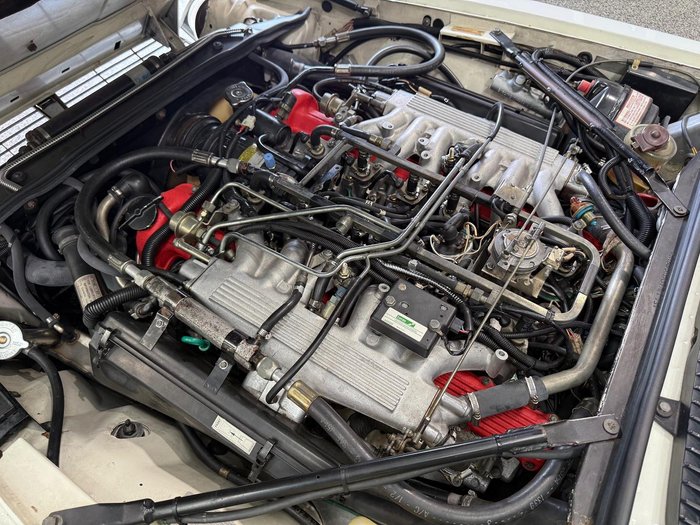 1982 Jaguar XJS HE (No Series) White