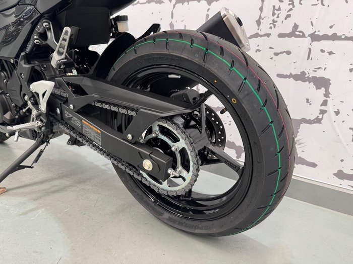 2024 Kawasaki Ninja 500 (EX500G) Ninja Grey