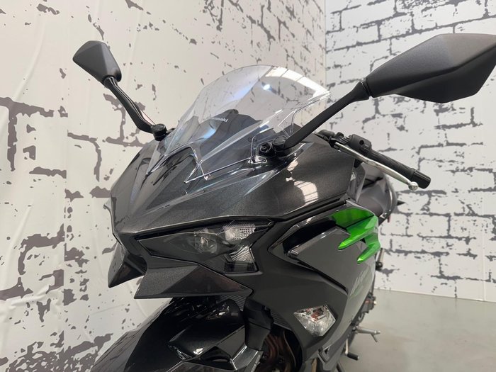 2024 Kawasaki Ninja 500 (EX500G) Ninja Grey