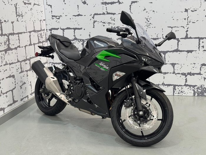 2024 Kawasaki Ninja 500 (EX500G) Ninja Grey