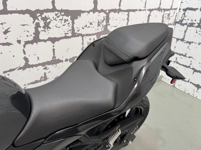 2024 Kawasaki Ninja 500 (EX500G) Ninja Grey