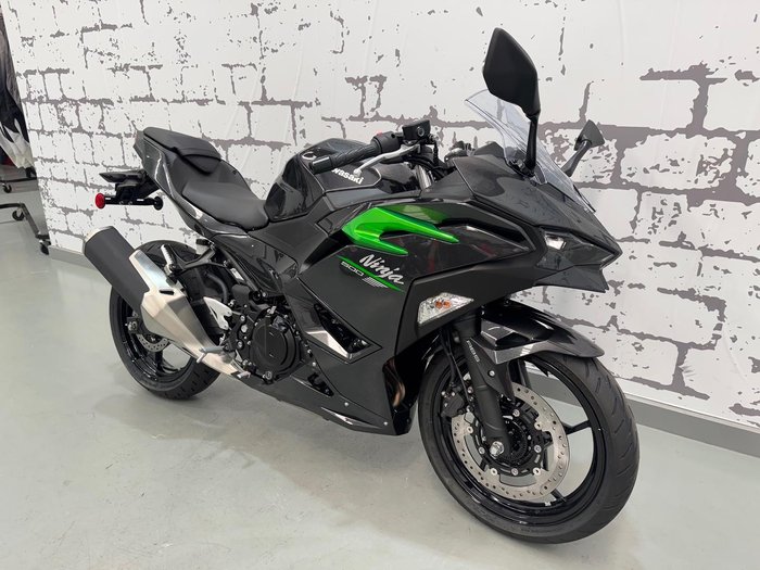 2024 Kawasaki Ninja 500 (EX500G) Ninja Grey