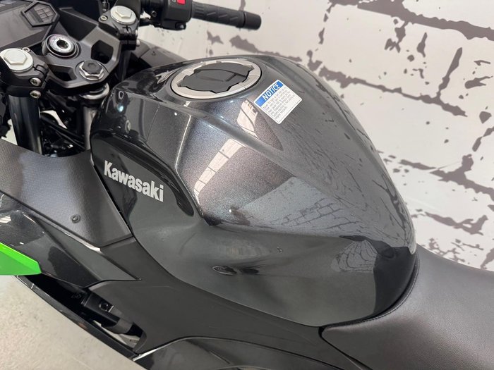 2024 Kawasaki Ninja 500 (EX500G) Ninja Grey