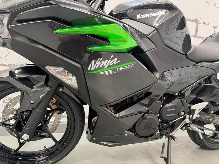 2024 Kawasaki Ninja 500 (EX500G) Ninja Grey