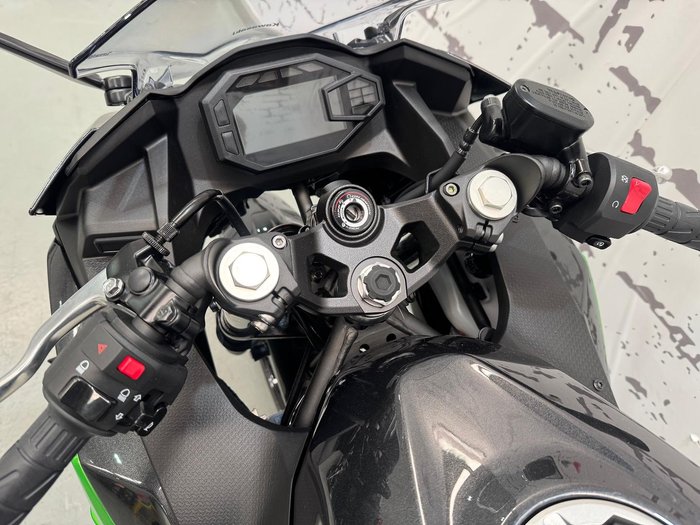 2024 Kawasaki Ninja 500 (EX500G) Ninja Grey