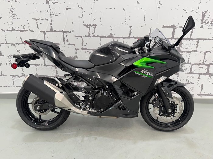 2024 Kawasaki Ninja 500 (EX500G) Ninja Grey