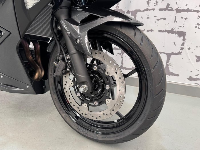 2024 Kawasaki Ninja 500 (EX500G) Ninja Grey