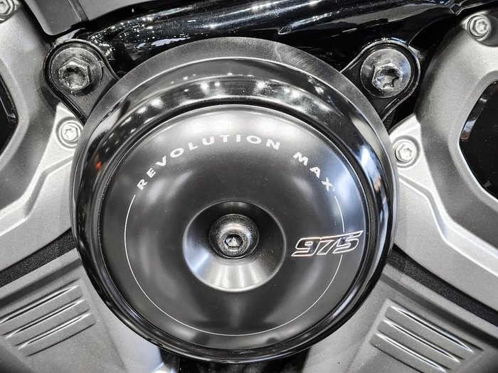 2024 Harley-Davidson Nightster (RH975) Sportster Grey