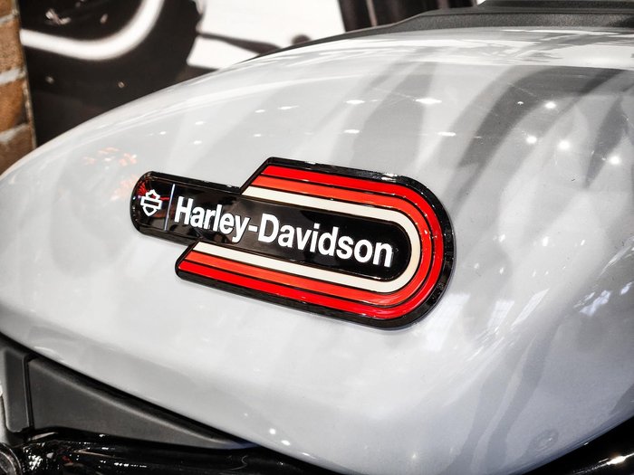 2024 Harley-Davidson Nightster (RH975) Sportster Grey