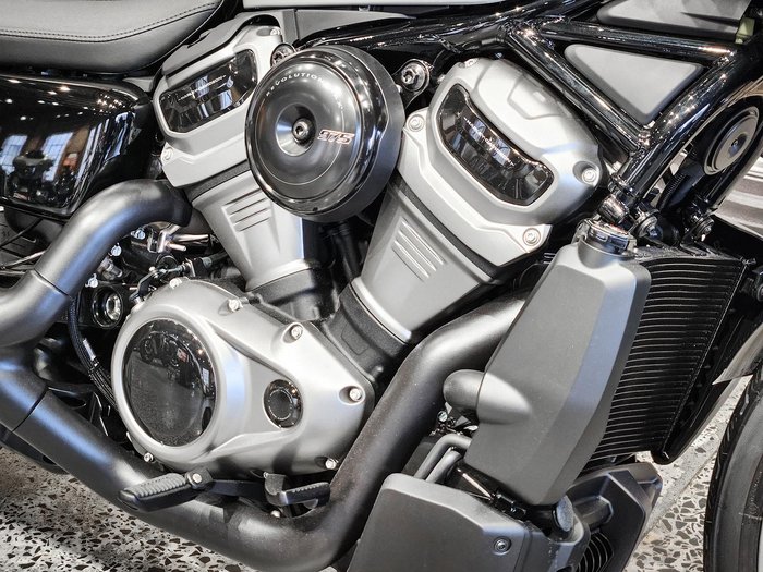 2024 Harley-Davidson Nightster (RH975) Sportster Grey