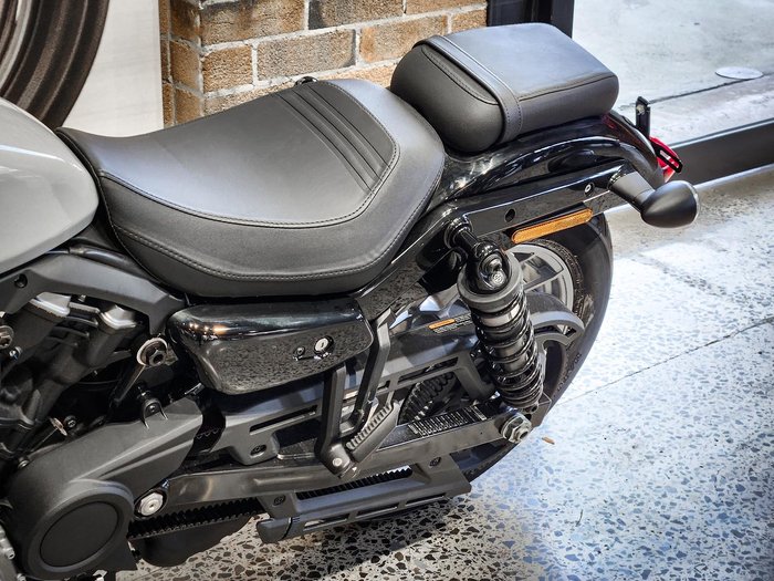 2024 Harley-Davidson Nightster (RH975) Sportster Grey