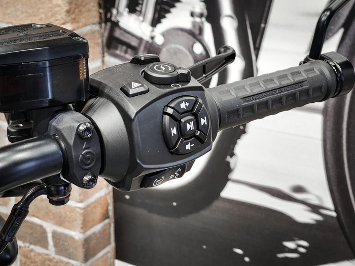 2024 Harley-Davidson Nightster (RH975) Sportster Grey