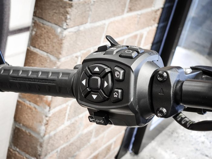 2024 Harley-Davidson Nightster (RH975) Sportster Grey