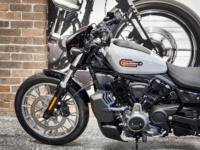 2024 Harley-Davidson Nightster (RH975) Sportster Grey