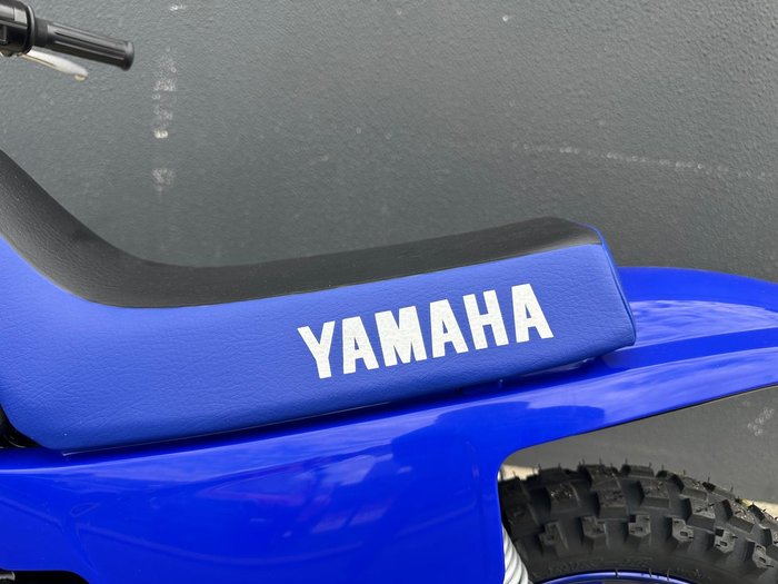 2025 Yamaha PeeWee 50 (PW50) PeeWee Blue