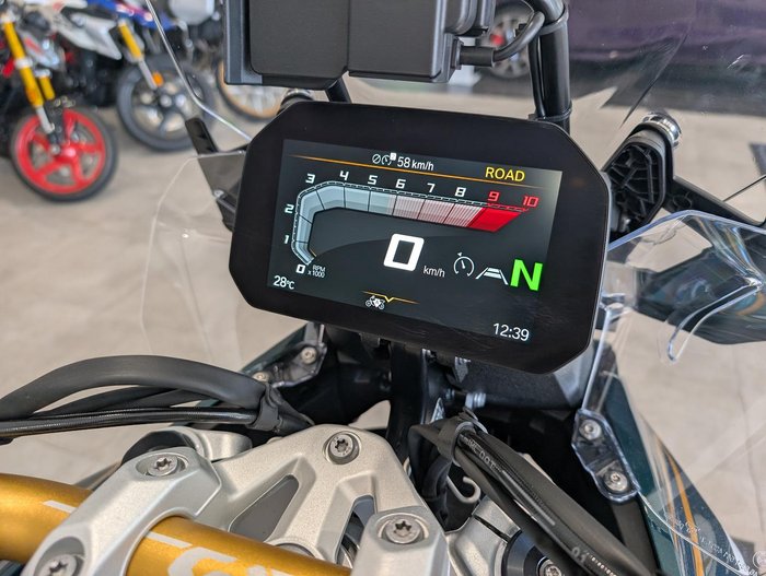 2024 BMW Motorrad R 1300 GS Option 719 R 1300 Green