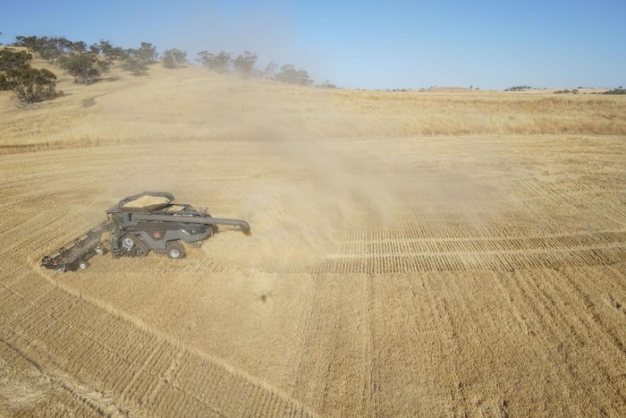 2019 Massey Ferguson Ideal 9T Harvester