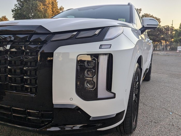 2024 Hyundai Palisade Calligraphy Black Ink